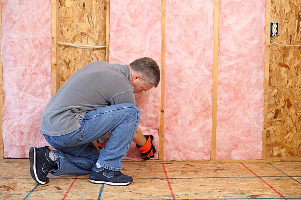 Best Specialized Insulation Services in San Leandro, CA